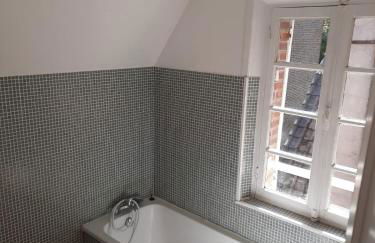 Les Fougères - Bois de Cise - Foto 47