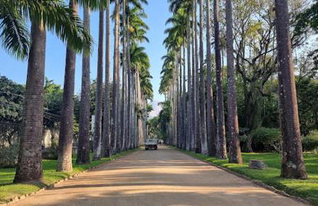 Apartamento Jardim Botânico - Foto 9