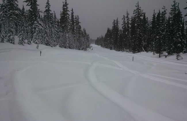 The Cozy Cabin LaPine - Foto 20