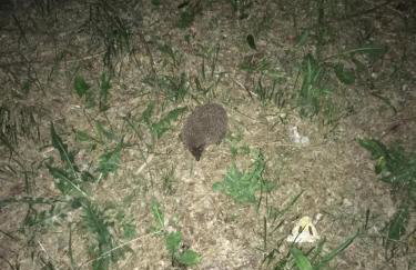 Siedlisko Nasza Chata - Foto 17