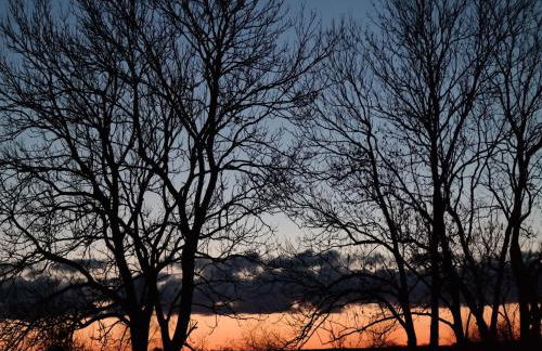 Luxuriöse Ferienwohnung in Boddin mit Garten - Foto 24
