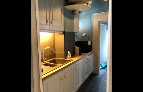 Apartment in Serrieres Castle Near French Alps - Foto 29