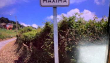 Finca Eiras - Foto 5