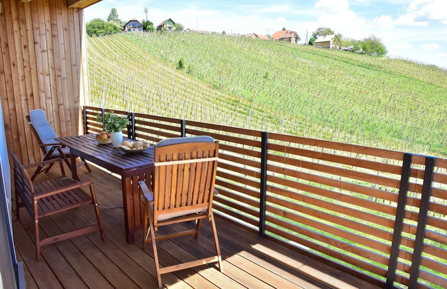 Vineyard Eco House Vukan - Photo 24