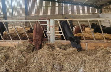 Mill Lane Farm Holiday Cottages - Photo 27