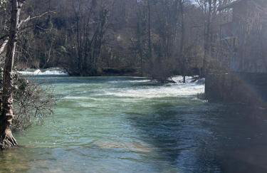 Villa Jelena - Photo 9