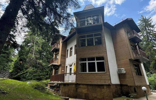 The Forest Villa Borovets1 - Foto 44