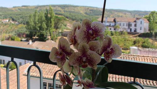 A Moderna - Guest house Casa dos Serpas - Foto 4