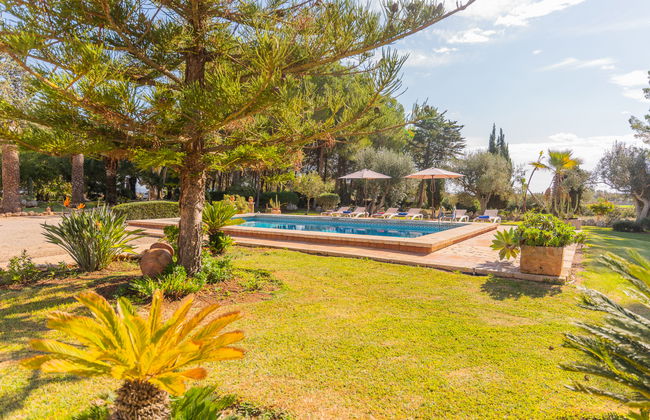 Ses Sitjoles - Foto 20