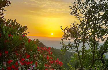 Pera da Serra - Turismo no Espaço Rural - Foto 10