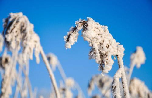 Birgits Huuske - Photo 10