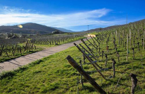Au pied des vignes - Foto 26