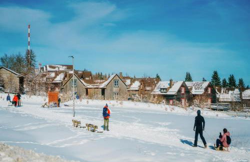 Ferienhäuser im Torfhaus Harzresort, Torfhaus - Foto 7