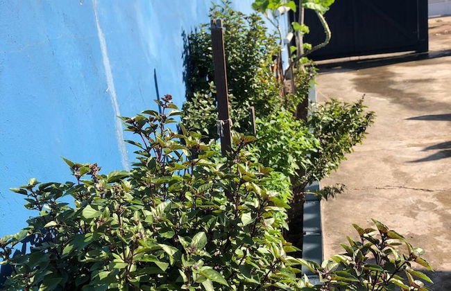 Casa Caribe - Foto 22