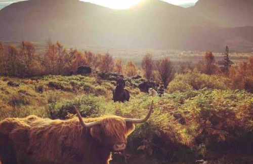 Wild Nurture Eco Luxury Offgrid Log Cabin - Foto 62