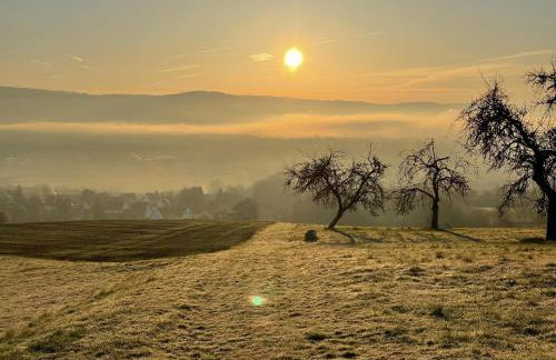 NEU! Haus am Heldrastein - Foto 7