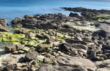 Casiña Palmira - Foto 44