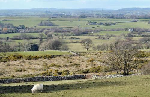 Carreg Y Garth Isaf - Hot Tub Nr Zip World - Photo 19