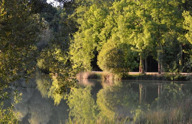 Holiday Home in Loubigne With Pool & Terrace - Photo 38