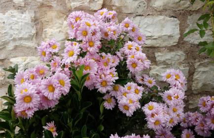 Mountain Ηouse in Arcadia - Foto 27