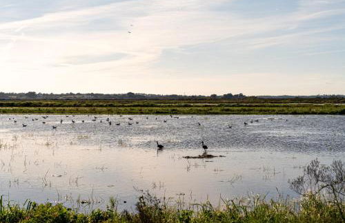 Villa Tommy - Foto 60