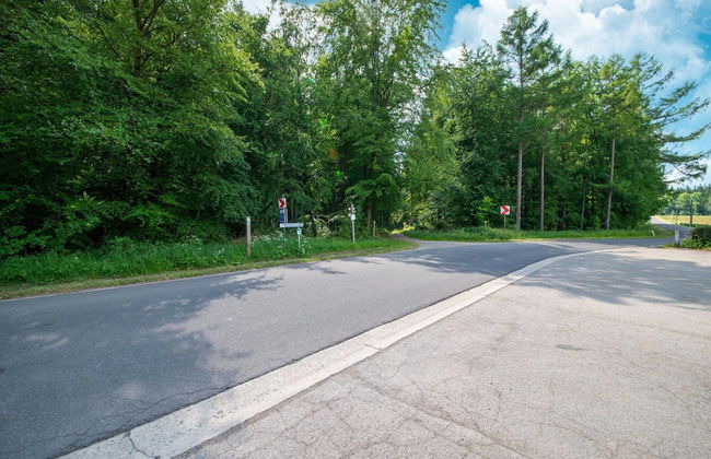 Mansion With Pool & Bar - Photo 37