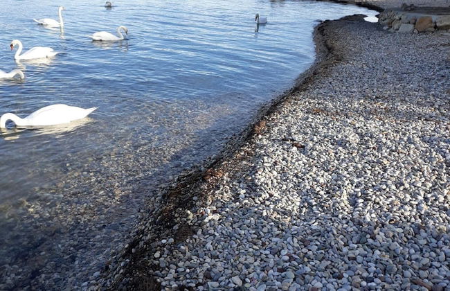 Apartment by the Beach - Foto 18