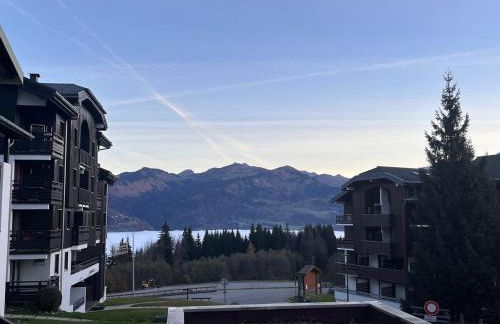 Le LODGE Les Esserts 1100 Morillon - Foto 22