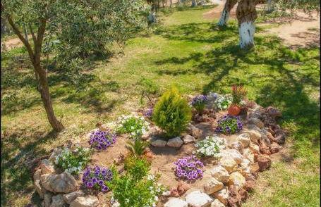 Sunray Separate Villa - Photo 21