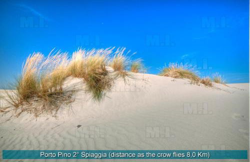 Il Fenicottero - Foto 35