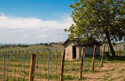 Villa Anselma - Foto 31