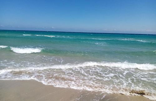 La Maison d'Eugenia - Foto 28