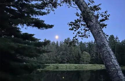 Balsam Fir Mirror House at FarAway Pond - Foto 13