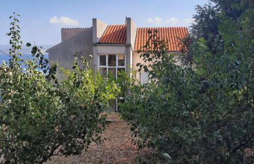 Apartments Marin - Foto 20