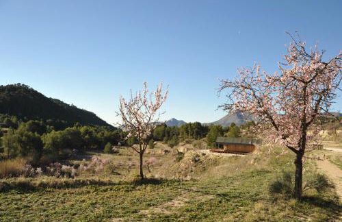 Finca Les Coves - Foto 53