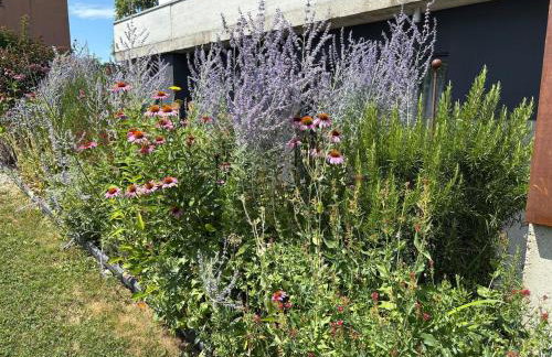 Vacation home, private pool & whirpool jacuzzi outhouse377 - Foto 19