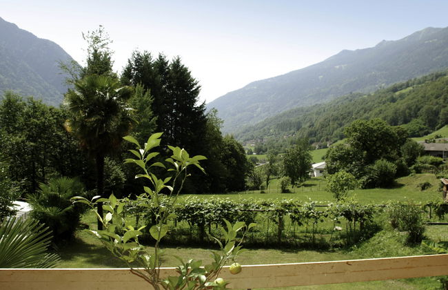 Vista Valle - Photo 12