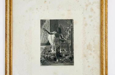 Masseria Principe di Puglia - Foto 51