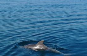 Casa al Mare - Foto 12