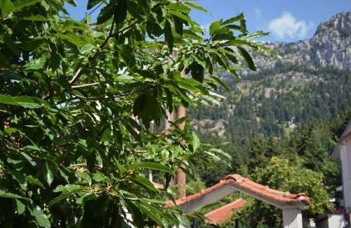 Elati Mansion - Foto 12