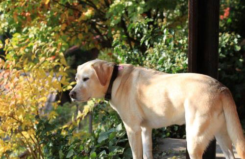 Ferienhaus Sara - Foto 10