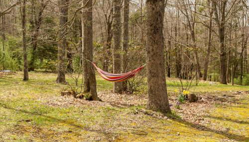 Log Cabin at the Goat Sanctuary - Foto 2