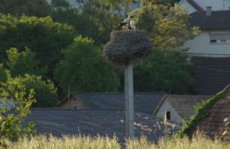 L'Horizon du Vignoble - Foto 18