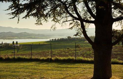 Podere Fontegallo - Photo 72