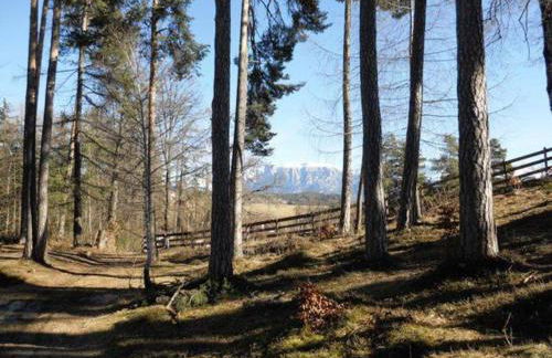 Apartment Lärchenheim - Foto 7