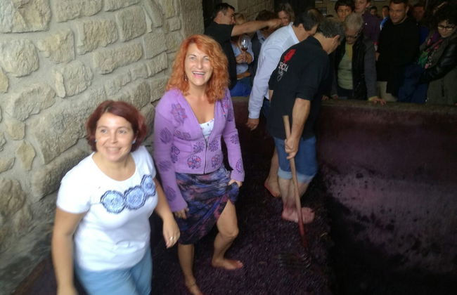 Casa Rural Villa Liquidambar - Foto 31