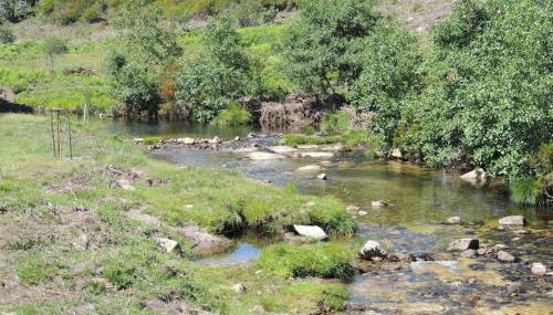 Casa do Forno - Photo 4