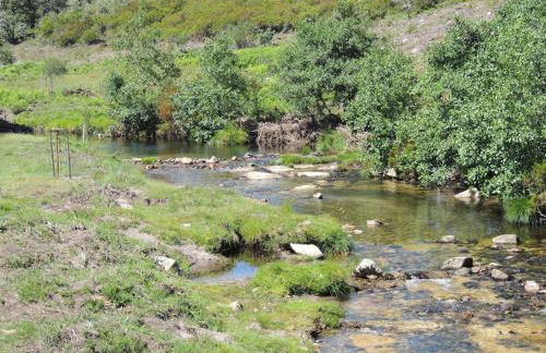 Casa do Forno - Foto 4