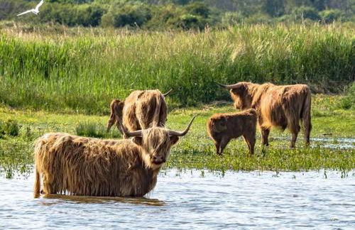 VENT DE FOLIE - Foto 18
