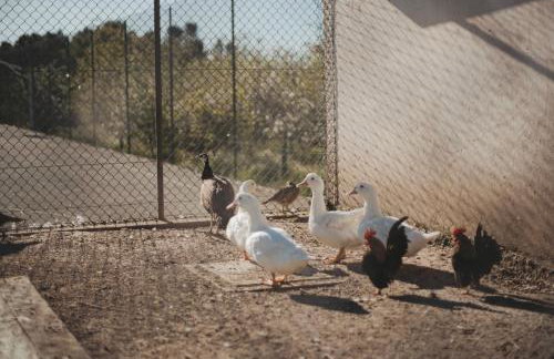 ARTS IN Country House - Foto 58